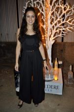 at India Design Forum hosted by Belvedere Vodka in Bandra, Mumbai on 11th March 2013 (258).JPG