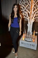 at India Design Forum hosted by Belvedere Vodka in Bandra, Mumbai on 11th March 2013 (264).JPG