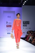 Model walks the ramp for Nikasha Show at Wills Lifestyle India Fashion Week 2013 Day 1 in Mumbai on 13th March 2013 (62).JPG
