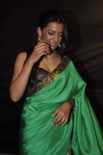 Mugdha Godse at Mirchi Marathi Music Awards in Mumbai on 18th March 2013 (117).JPG