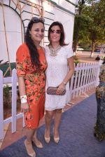 at Forbes Million race co-hosted by Kalyani Chawla in Mumbai on 24th March 2013 (80).JPG