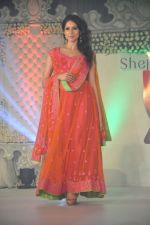 Model walk for Neeta Lulla_s Shehnai collection in J W Marriott, Mumbai on 29th March 2013 (68).JPG