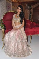 Sonal Chauhan at Neeta Lulla_s Shehnai collection in J W Marriott, Mumbai on 29th March 2013 (35).JPG