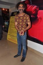 Makrand Deshpande at Chashme Buddoor special screening in PVR, Mumbai on 3rd April 2013 (76).JPG