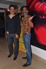 Makrand Deshpande at Chashme Buddoor special screening in PVR, Mumbai on 3rd April 2013 (79).JPG