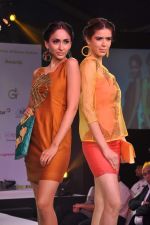 at Green Fashion Awards in Lalit Hotel, Mumbai on 6th April 2013 (52).JPG