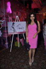 nisha jamwal at Elle Carnival in aid of Womens Cancer Initiative a foundation set up by Devieka Bhojwani in Mumbai on 7th April 2013.JPG
