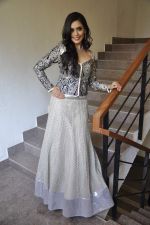 Hrishita Bhatt dressed up by Amy Billimoria on 9th April 2013 (21).JPG