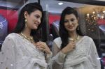 Sayali Bhagat unviels Temple Jewelry Collection by Popley & Sons in Mumbai on 9th April 2013 (11).JPG