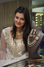 Sayali Bhagat unviels Temple Jewelry Collection by Popley & Sons in Mumbai on 9th April 2013 (15).JPG
