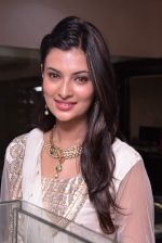 Sayali Bhagat unviels Temple Jewelry Collection by Popley & Sons in Mumbai on 9th April 2013 (46).JPG