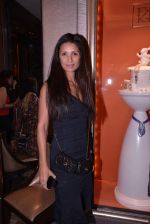 Mehr Jessia at Farah Khan Ali_s store launch in Mumbai on 11th April 2013(355).JPG