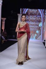 Model walk the ramp for RK Jewellers Show at IIJW Delhi day 2 on 13th April 2013 (41).JPG