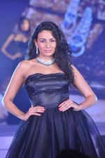 at Zoya introduces exquisite Jewels of the Crown jewellery line in Mumbai on 13th April 2013 (90).JPG