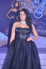 at Zoya introduces exquisite Jewels of the Crown jewellery line in Mumbai on 13th April 2013 (91).JPG