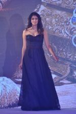at Zoya introduces exquisite Jewels of the Crown jewellery line in Mumbai on 13th April 2013 (96).JPG