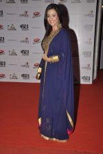 at Indian Telly Awards in Mumbai on 4th May 2013 (134).JPG