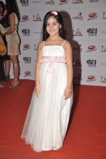 at Indian Telly Awards in Mumbai on 4th May 2013 (16).JPG