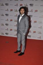at Indian Telly Awards in Mumbai on 4th May 2013 (177).JPG