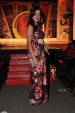 Amy Billimoria at BD SOmani_s Annual Fashion event Silhouetttes 2013 in Mumbai on 5th May 2013 (9).JPG