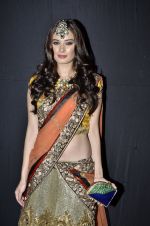 Evelyn Sharma at Weddings at Westin show in Pune on 5th May 2013 (77).JPG