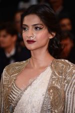 Sonam Kapoor at Electrolux Cannes Film Festival 2013 on 15th May 2013 (40).JPG