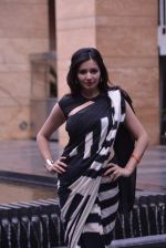 Shonali Nagrani photo shoot in Mumbai on 18th May 2013 (12).JPG
