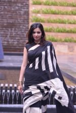 Shonali Nagrani photo shoot in Mumbai on 18th May 2013 (2).JPG