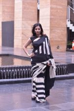 Shonali Nagrani photo shoot in Mumbai on 18th May 2013 (6).JPG