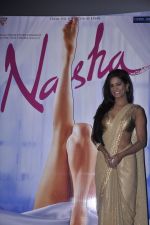 Poonam Pandey at the Launch of Nasha in Mumbai on 5th June 2013 (123).JPG