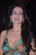 Ameesha Patel at Ameesha Patel_s birthday and Shortcut Romeo promotions in 212 on 8th June 2013 (143).JPG