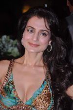 Ameesha Patel at Ameesha Patel_s birthday and Shortcut Romeo promotions in 212 on 8th June 2013 (63).JPG