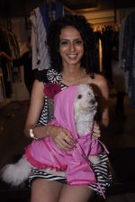 at Atosa_s Sonia Vajifdar_s showcase in Mumbai on 12th June 2013 (50).JPG