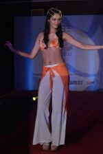 Model walks for Sports Illustrated bikini issue launch in Sea Princess, Mumbai on 14th June 2013 (136).JPG