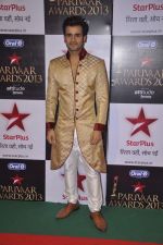  at Star Pariwar Awards in Mumbai on 15th June 2013 (113).JPG