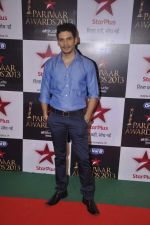  at Star Pariwar Awards in Mumbai on 15th June 2013 (3).JPG