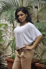 Meera photo shoot in Mumbai on 17th June 2013 (35).JPG