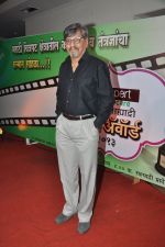 Amol Palekar at Godrej Expert Care Sahyadri Cine Awards 2013 in Ravindra Natya Mandir, Mumbai on 18th June 2013 (61).JPG