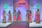 at Tassel Fashion and Lifestyle Awards 2013 in Mumbai on 8th July 2013 (141).JPG
