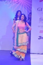 at Tassel Fashion and Lifestyle Awards 2013 in Mumbai on 8th July 2013,3 (70).JPG