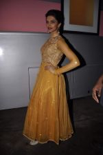 Deepika Padukone on the sets of Madhubala in Mumbai on 29th July 2013 (11).JPG