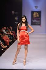 Model walks at Bangalore Fashion Week on 30th July 2013,3 (24).JPG