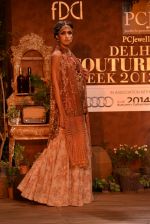 Model walks for Sabyasachi showcases at PCJ Delhi Couture Week, Delhi on 31st July 2013 (40).JPG