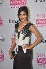 at Vogue Beauty Awards in Taj Land_s End, Mumbai on 1st Aug 2013 (4).JPG