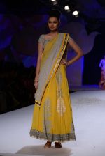 Model walk for Varun Bahl_s show for Audi at PCJ Delhi Couture Week on 2nd Aug 2013 (109).JPG