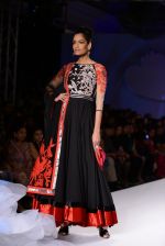 Model walk for Varun Bahl_s show for Audi at PCJ Delhi Couture Week on 2nd Aug 2013 (70).JPG