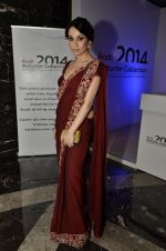 Sheetal Mafatlal on day 5 of PCJ Delhi Couture Week 2013,1 on 4th Aug 2013 (44).JPG