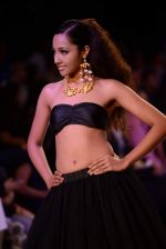 Model walk the ramp for pallavi foley Show at IIJW 2013 on 6th Aug 2013 (20).JPG
