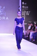 Model walk the ramp for Adora on Day 4 of IIJW 2013 on 7th Aug 2013 (3).JPG