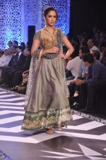 Model walk the ramp at the Grand Finale of IIJW 2013 on 8th Aug 2013 (164).JPG